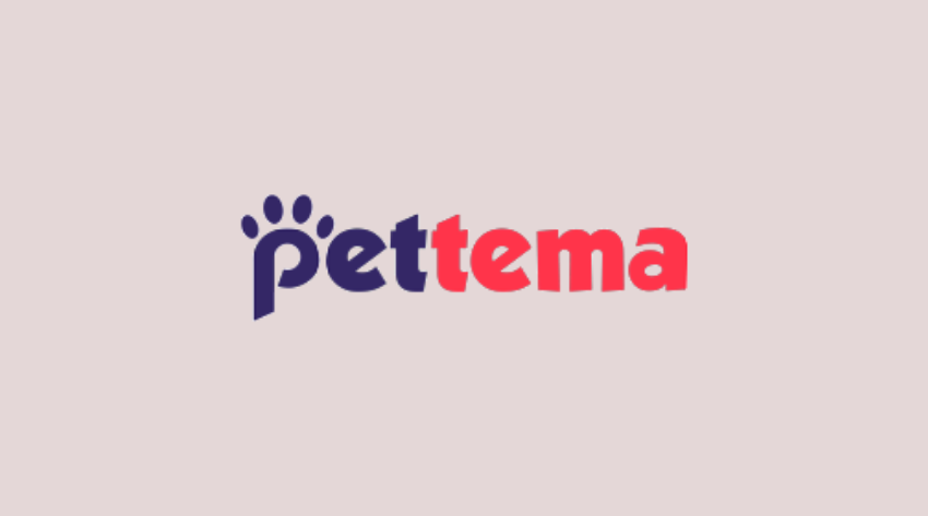 Ucuz Kedi Maması Fiyatları için En Doğru Adresiniz Pettema!