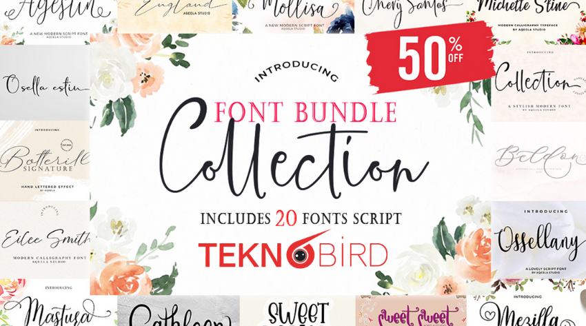 Font Bundle Collection INCLUDES 20 FONTS SCRIPT