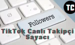 TikTok Counter - Canlı Takipçi Sayacı Nasıl Kullanılır?