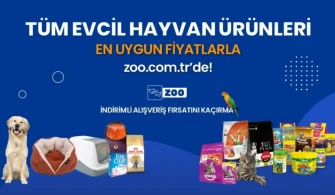 Pet Shop Ürünleri Ekonomik Fiyat Etiketiyle Zoo.com.tr ‘de!