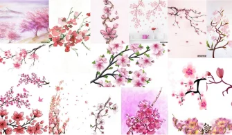 Sakura Dövmesi Anlamı ve Modelleri