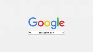 Google'de Etkili Arama Yapmak