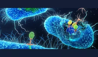 Bilim insanları bakterilere dayalı canlı sentetik hücreler yarattılar