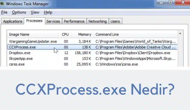 CCXProcess.exe Nedir?