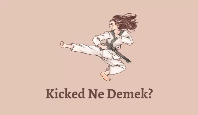 Kicked Ne Demek?