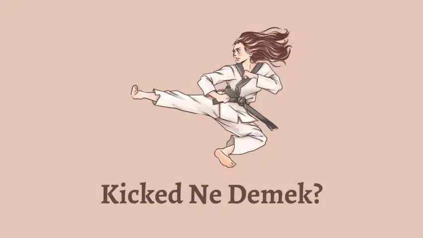 Kicked Ne Demek?