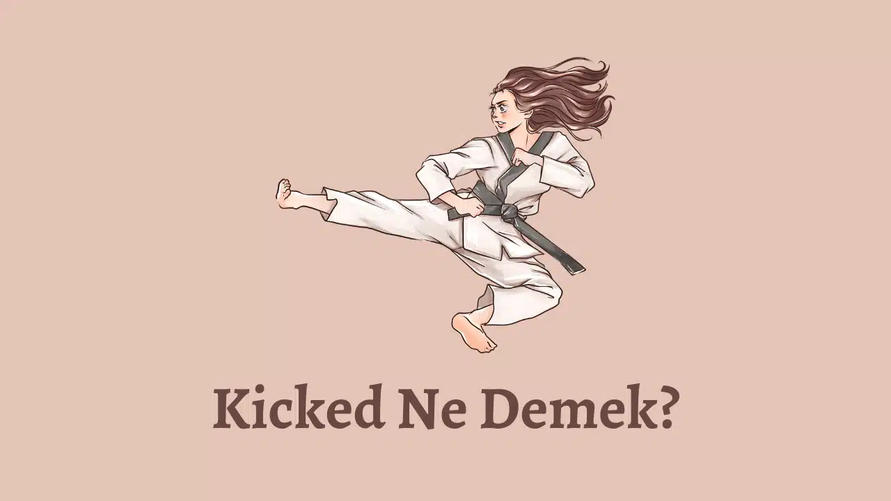 kicked-ne-demek-teknobird