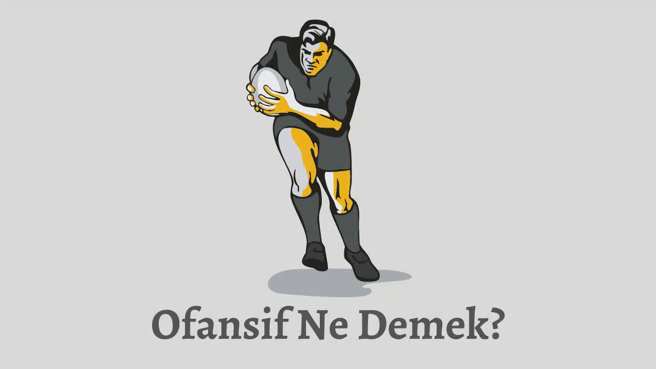 ofansif-ne-demek-teknobird