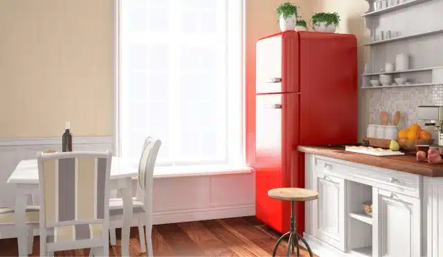 Retro Tarzı Buzdolabı Nedir?