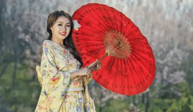 Kimono Nedir?