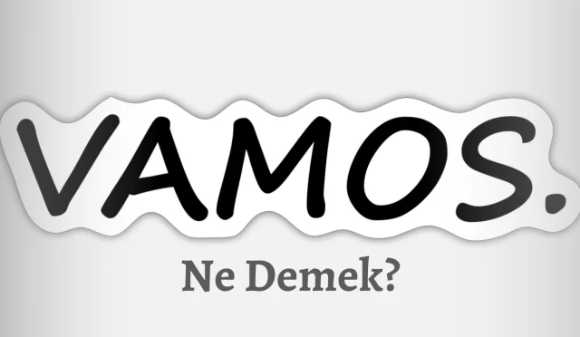 Vamos Ne Demek?