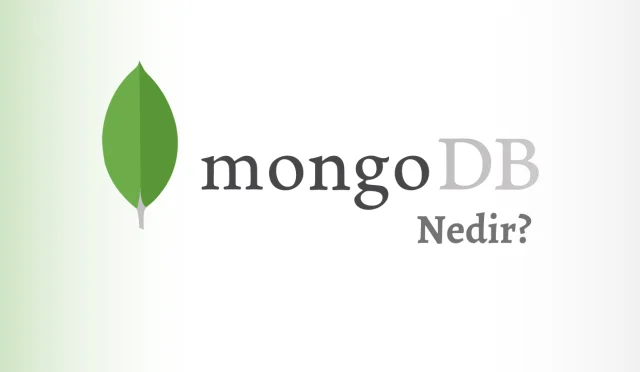 MongoDB Nedir? Web Geliştiricileri İçin Basit Bir Kılavuz