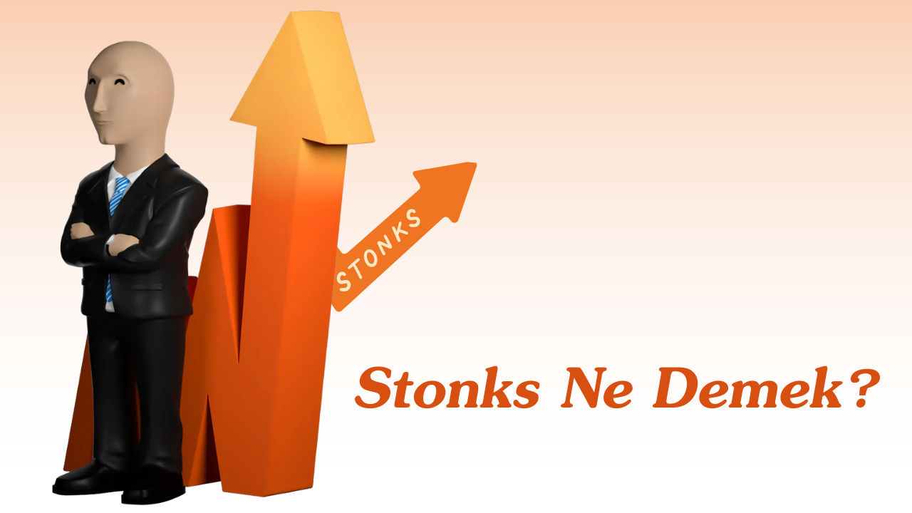 stonks-ne-demek-teknobird