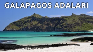 Galapagos Adaları: Farklı Bir Dünyaya Açılan Kapınız