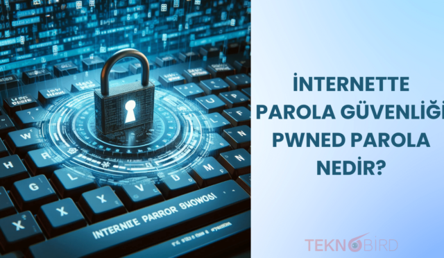 İnternette Parola Güvenliği, Pwned Parola Nedir?