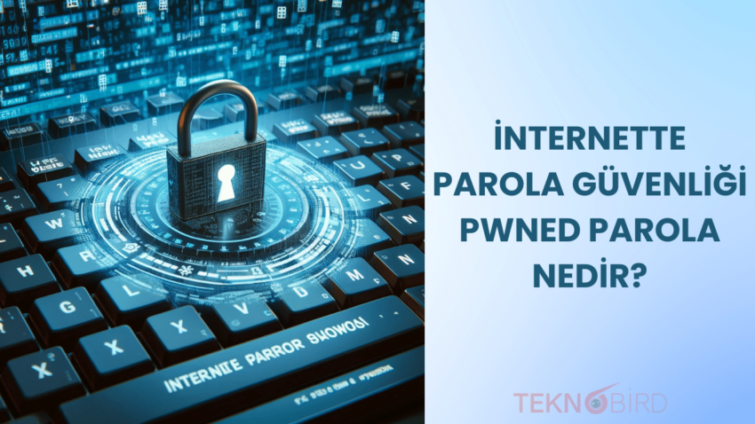 İnternette Parola Güvenliği, Pwned Parola Nedir?