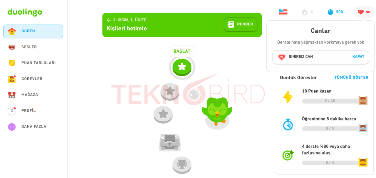 Duolingo Plus Özellikleri