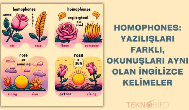 Homophones: Yazılışları Farklı, Okunuşları Aynı Olan İngilizce Kelimeler