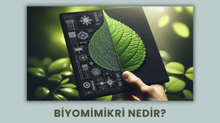 Biyomimikri Nedir?