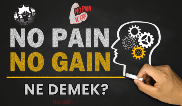 No pain, no gain ne demek?