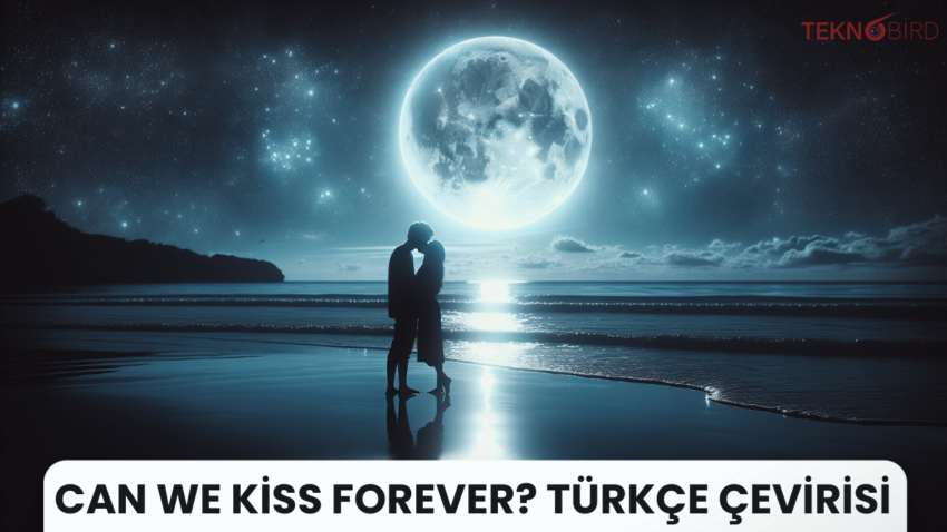 Can We Kiss Forever? Şarkı Sözleri ve Türkçe Çevirisi