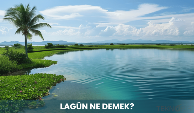 Lagün Ne Demek?