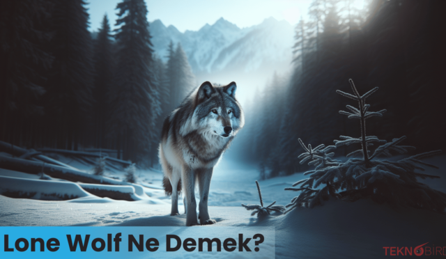 Lone Wolf Ne Demek?