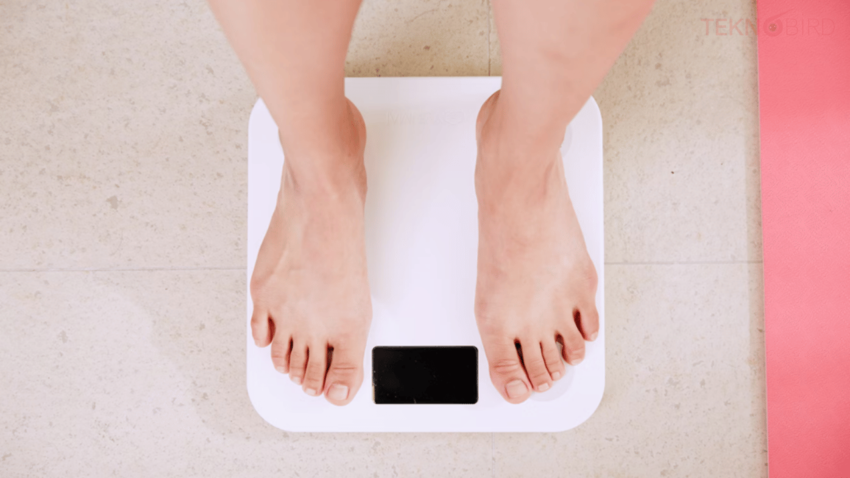 Proper and Healthy Weight Loss: What You Need To Know