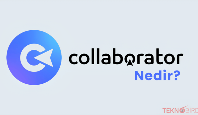 Collaborator.Pro Nedir? Detaylı Bir İnceleme