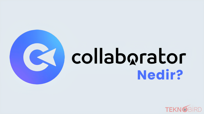 Collaborator.Pro Nedir? Detaylı Bir İnceleme