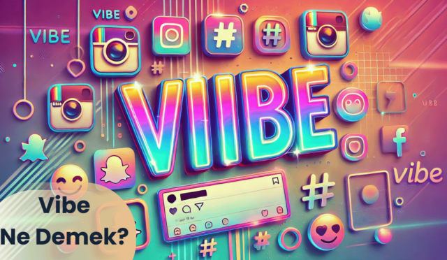 Vibe Ne Demek?