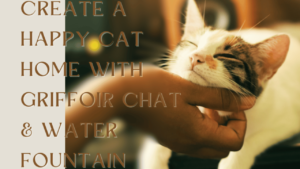 Create a Happy Cat Home with Griffoir Chat & Water Fountain