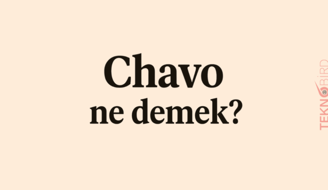 Chavo Ne Demek?