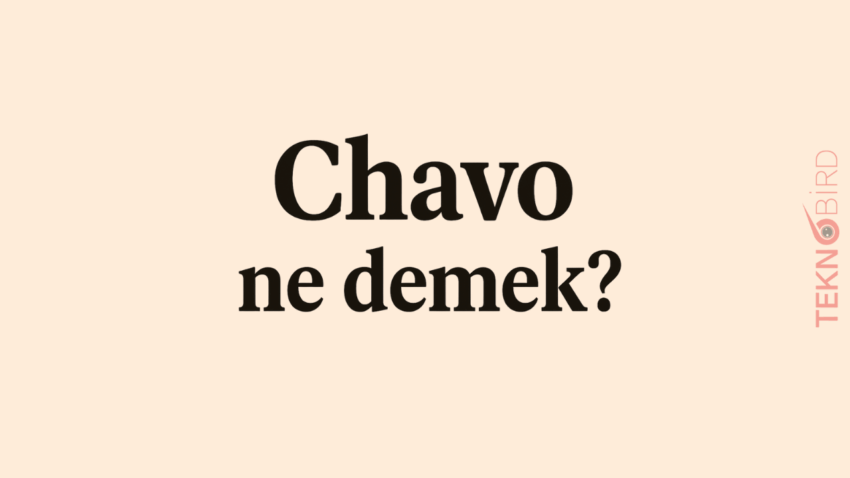 Chavo Ne Demek?