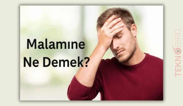 Malamıne Ne Demek? Kürtçede Anlamı Nedir?