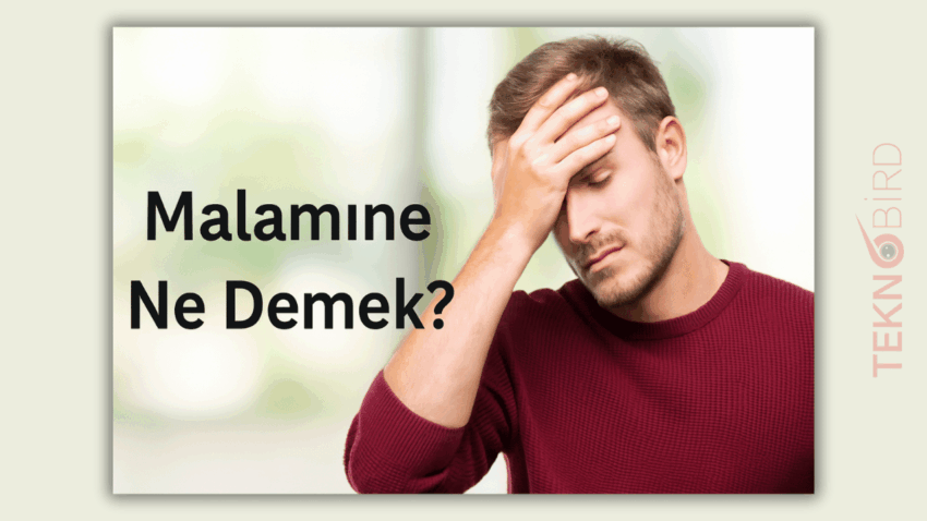 Malamıne Ne Demek? Kürtçede Anlamı Nedir?