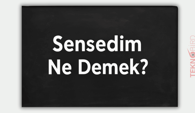 Sensedim Ne Demek? Anlamı, Kullanımı ve Doğru Yazımı