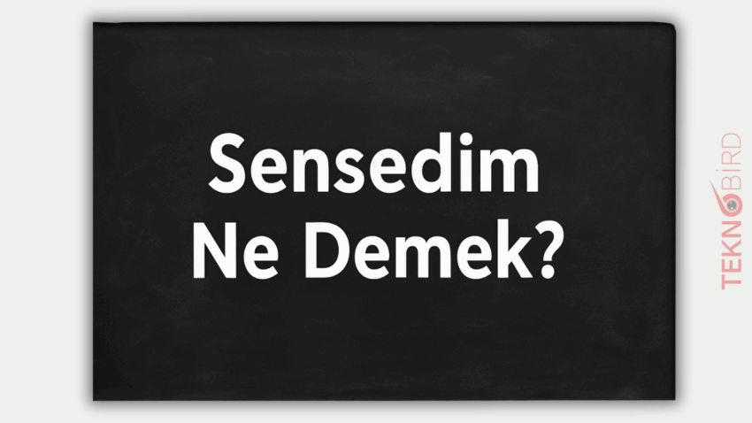 Sensedim Ne Demek? Anlamı, Kullanımı ve Doğru Yazımı