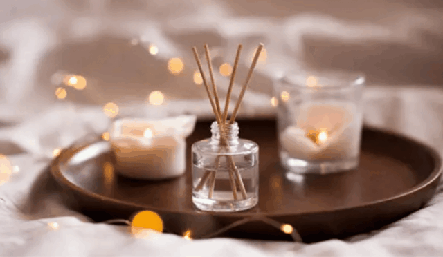 Where To Purchase Reed Diffuser Bottles in Bulk and Retain Quality