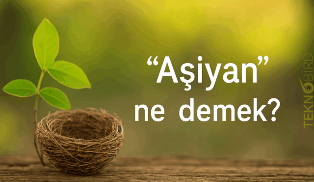 Aşiyan Ne Demek? Bir Kelimenin Kalbimde Uyandırdığı Anlamlar