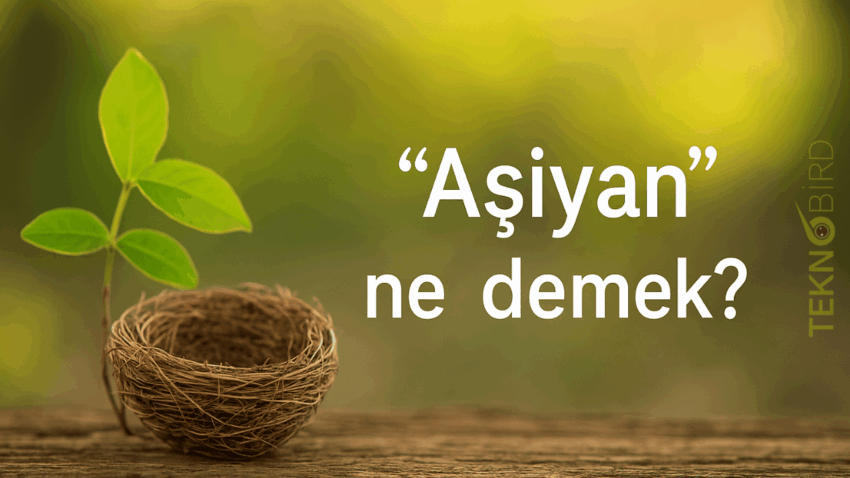 Aşiyan Ne Demek? Bir Kelimenin Kalbimde Uyandırdığı Anlamlar