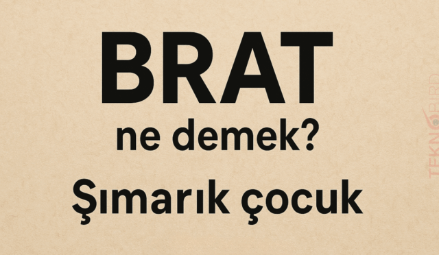 Brat Ne Demek? Anlamı ve Kullanım Alanları