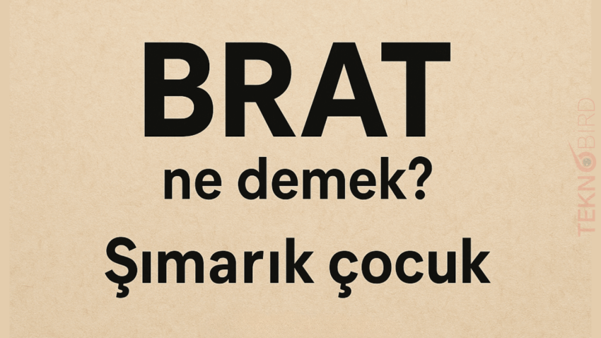 Brat Ne Demek? Anlamı ve Kullanım Alanları