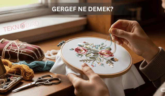 Gergef Ne Demek? El Sanatlarının Zarif Dünyasına Yolculuk