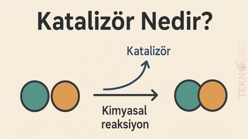 Katalizör Nedir? Günlük Hayatımızdaki Rolü Neden Bu Kadar Önemli?