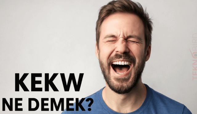 KEKW Ne Demek?