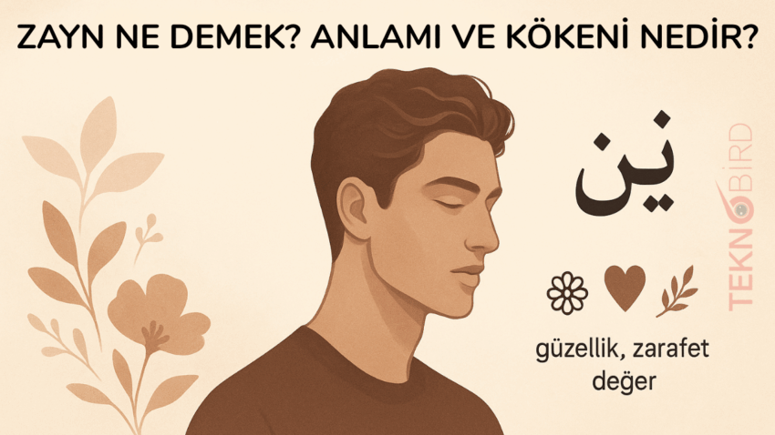Zayn Ne Demek? Anlamı ve Kökeni Nedir?