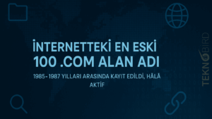 Bu 100 Web Sitesi Onlarca Yıldır Yayında!