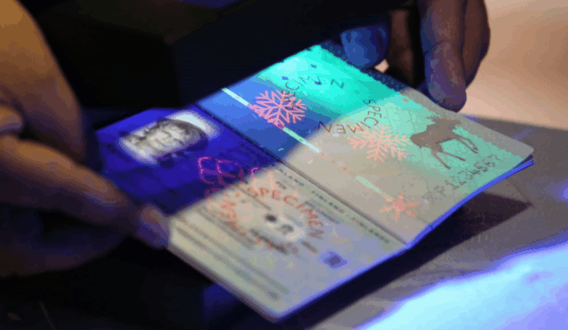 Everything You Need to Know About Biometric Passports in 2025