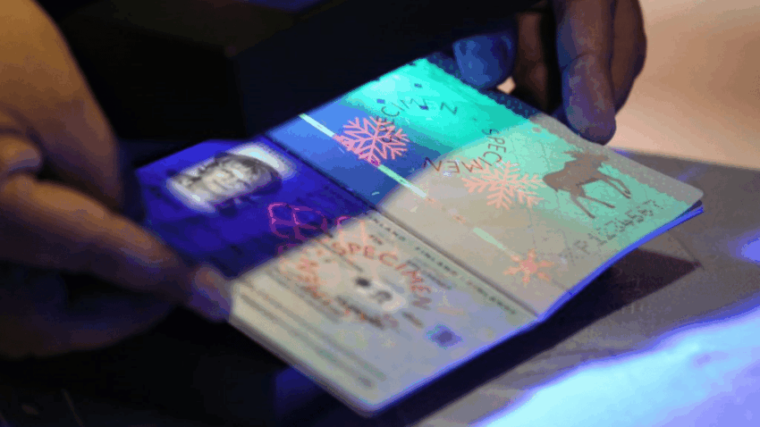 Everything You Need to Know About Biometric Passports in 2025